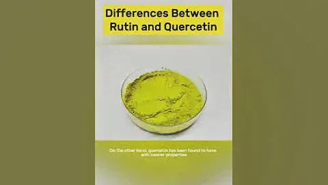 What are the Differences Between Rutin and Quercetin  Natural Rutin  Quercetin Suppplier   Shaanxi P