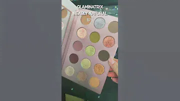 BEST PALETTES I TRIED THIS MONTH! August
