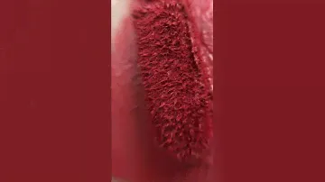 Стойкая помада LIP PAINT LPT08